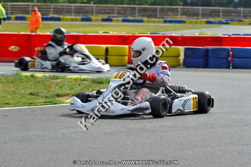 DSC_ (1223).jpg
